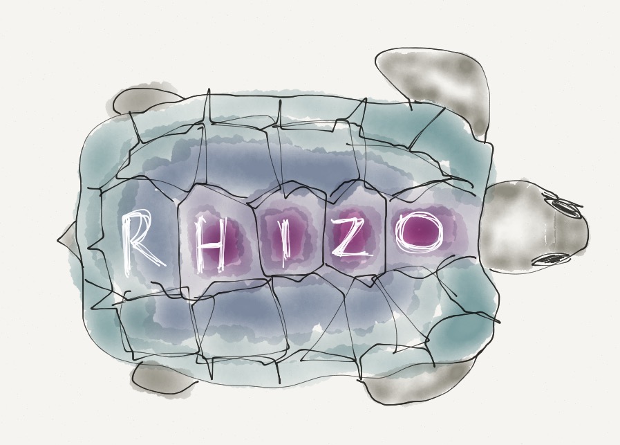 Image of a turtle with the word "rhizo" on its shell