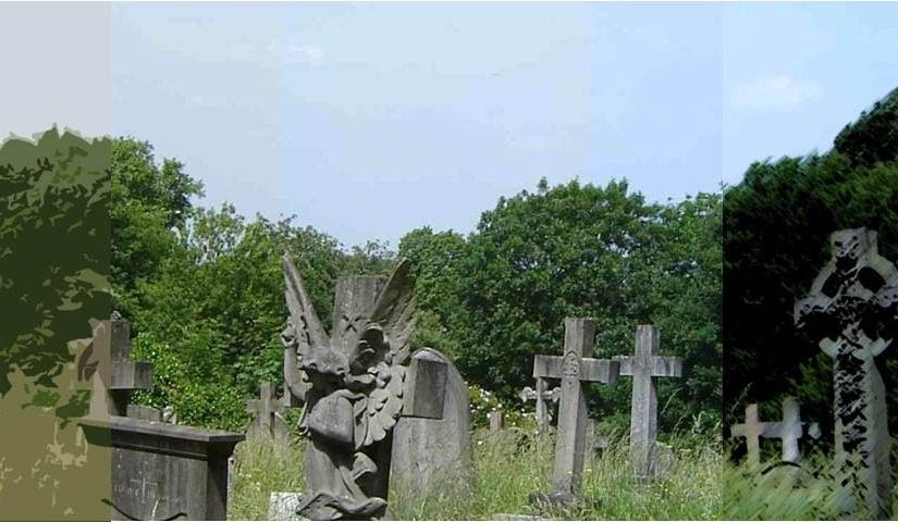Cemeteries of the web: parallels between Victorian burial culture and digital infrastructure