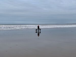 A photo of Maren and two dogs walking along the beach on a grey day. 