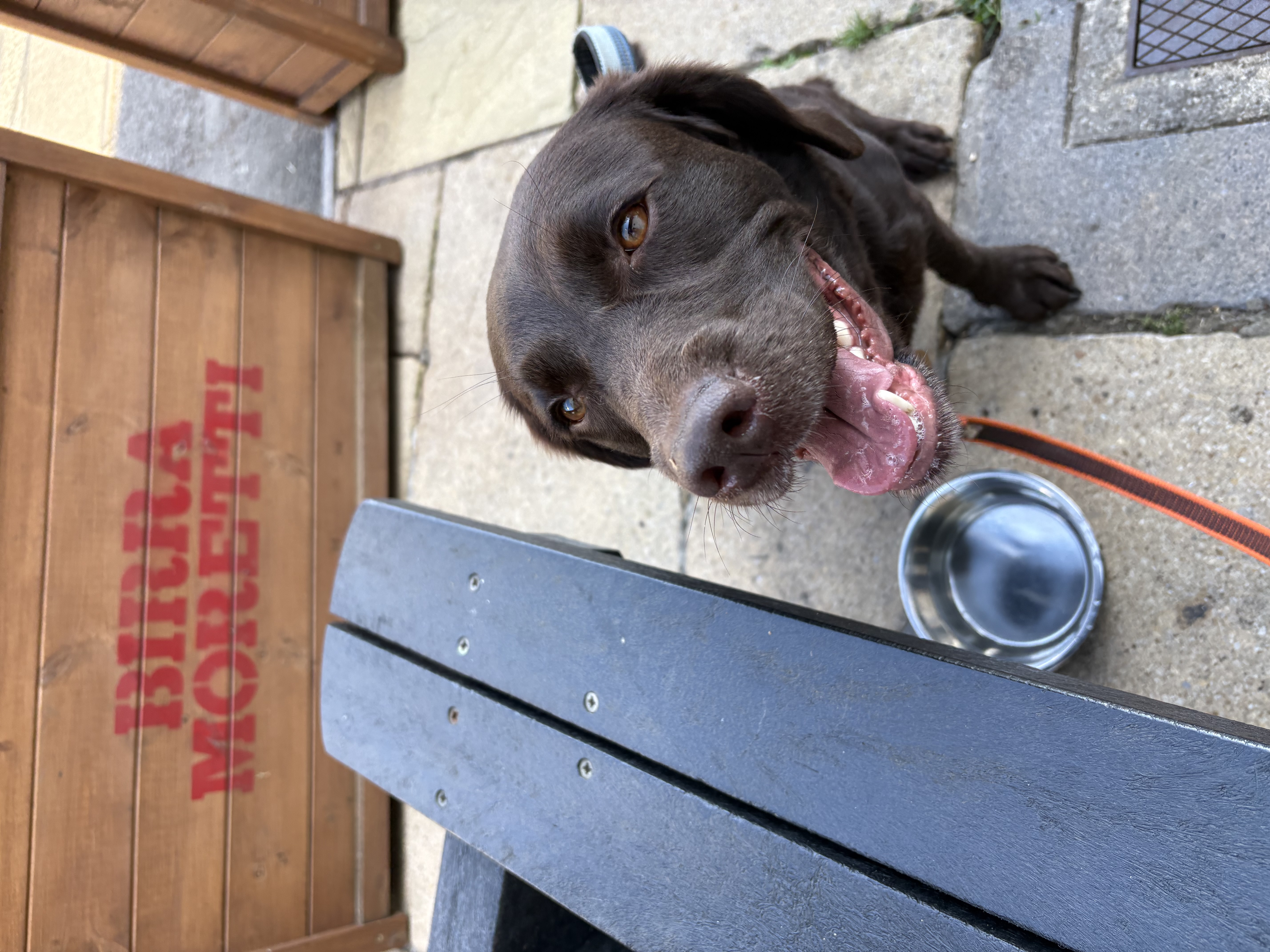 At the local pub after a visit to the castle
