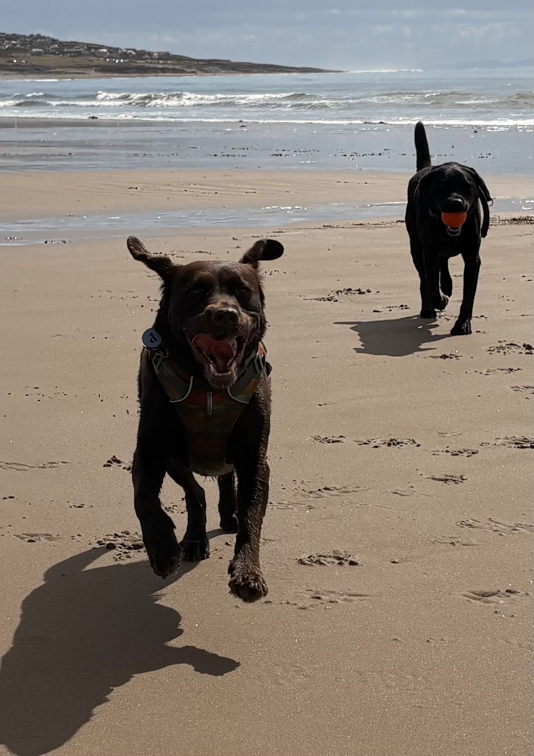 Beach time with her brother Teilo