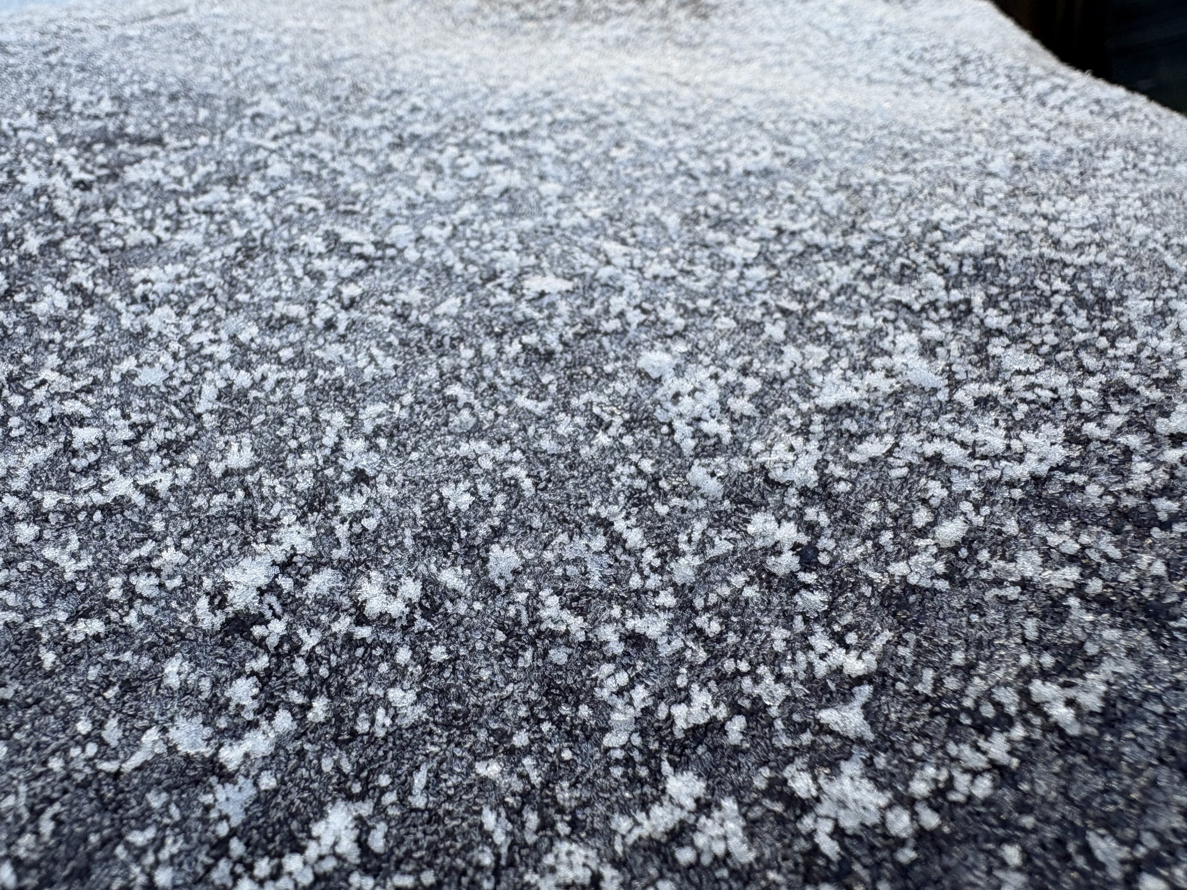 A close up of a dusting of snow