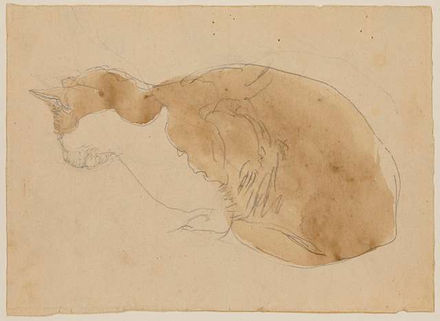 Gwen John drawing of a cat lying down